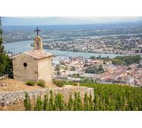 Visite privée du vin de la vallée du Rhône Nord au départ de Lyon
