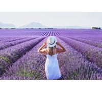Visite privée pour 1 passager