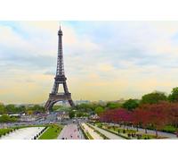 Visite privée pour 1 passager