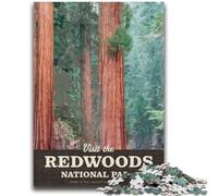Visitez Redwood, Puzzles 1000 pièces pour Adolescents, Jeux éducatifs à Faire soi-même avec Affiche et fiche de Questions-réponses pour Les 14 Ans et Plus (1000 pièces, 26x38cm)