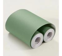 VisitRyl Frise Murale Autocollante Givrage vert clair 10cm X 500cm Adhésive Réutilisable pour Décoration Intérieure Facile à Poser