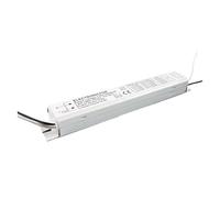 VISIYUBL Ballast électronique T8 for Large Tension 110V AC 24W, Ballast for Lampe Fluorescente, 50/60HZ