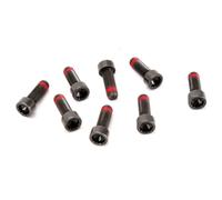 Visserie, volant moteur LUK 411 0139 11