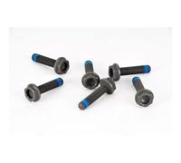 LuK Visserie pour volant moteur 411 0118 10