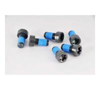 LuK Visserie pour volant moteur 411 0122 10 Bleu