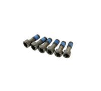 LuK Visserie pour volant moteur 411 0132 10