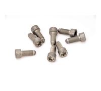 LuK Visserie 411 0160 10 pour volant moteur