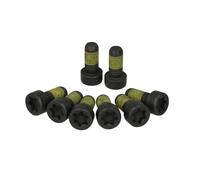 LuK Visserie de volant moteur 411 0199 10 - Kit de boulons adapté pour BMW MINI