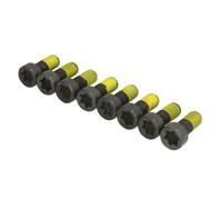 LuK Jeu de vis 411022610 pour volant bimasse