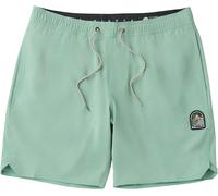 Vissla - Short de bain stretch - Solid Sets 17.5" Ecolastic Aloe pour Homme - Taille L - Vert Vert L