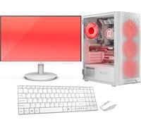 VIST Gaming Ryzen 5 5600G - RAM 16Go - SSD 1To M.2 - WIFI - LCD 24 - Windows 11 Pro