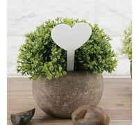 Vistreck Étiquettes de Jardinage en Couleurs en Forme de Cœur, étiquettes Plantes Imperméables PVC pour Semis et Pots, 100 Pièces (Blanche)