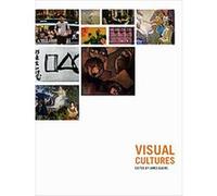 Visual Cultures James Elkins (Auteur)
