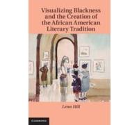Visualizing Blackness And The Creation Of The African American Literary Tradition