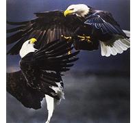 Vita Bergen Retriever (Vinyl)