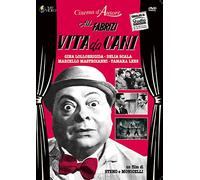 Vita da cani