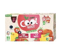 VITABIO COOL - Gourdes fruits Cool Fruits - Biparfums 2 recettes Fruits rouges (Fraise/Framboise) - 12x90g - BIO