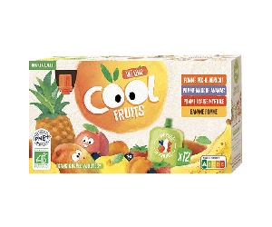 Vitabio Cool Fruits Multiparfums 4 Recettes Fraise Abricot Banane Mangue Bio 12 x 90g
