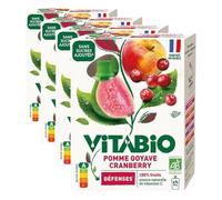VITABIO - Gourdes Pomme Goyave Cranberry - DEFENSES - 4x100g - BIO (Lot de 4)