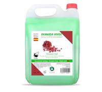 Vitacab - Gel Douche Green Granada 5 L • Parfum Fruité de Grenade Verte • Grand Format Recharge Distributeur • Nettoyage Doux Quotidien • Pour Peaux Sensibles • Usage Professionnel ou Domestique