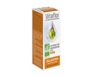 VITAFLOR Bourgeon Eglantier 15ML
