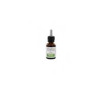 Vitaflor Extrait de Bourgeons Bio Bouleau 15 mL