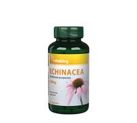 Vitaking Échinacée Pourpre 250 mg (90 capsules)