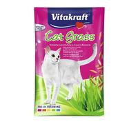 Vitakraft Cat Grass 50 g