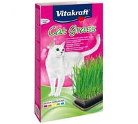 Vitakraft Cat-Grass Grass pour chats 120g [26547]