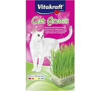 Cat Grass, 120g, Cat