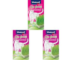 Vitakraft Cat Grass, mélange de graines pour Herbe à Chat, avec vitamines et minéraux (1x 120g) (Lot de 3)