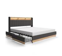 VitaliSpa Lit rembourré Nura, Anthracite, 180x200 cm avec Matelas, avec Port de Charge USB, éclairage LED et télécommande