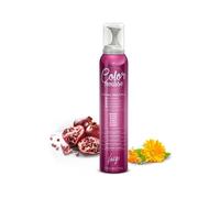 Vitality?s Art Color Mousse-Platinum Zilver 200ml