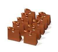 Vitalizart Petits Sacs Cadeaux Marron 20 cm × 9 cm × 18 cm Avec Poignées Ruban, Lot de 10 Sacs Cadeaux en Papier Réutilisables Pour Anniversaire, Baby Shower, Mariage, Baptême, Noël