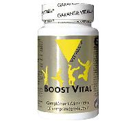 Vit'all+ Boost Vital 30 comprimés