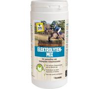 VITALstyle Electrolytes Mix 1 KG Poudre