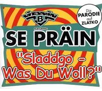 Vitamin B Feat.Se P - Sladdgo-Was du Woll [Import]