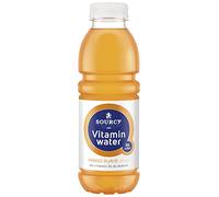 Vitamine à sourciens de l'eau / bouteille de gueur 0,5 L | 6 morceaux