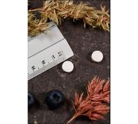 Vitamine B1 Thiamine 100 mg cal comprimés 100 pc