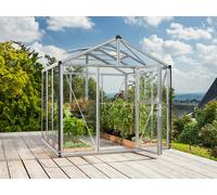 Vitavia Serre de jardin Zeus (IT G, Aluminium anodisé, 6,2 m²)