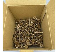 Vite SB per Aquapanel 25mm 250pz Art. 94730 Maxi Screws Knauf