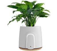 Vitesy Natede Basic Purificateur d'Air Naturel