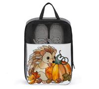 Vitrail mignon hérisson citrouille sac à chaussures pour voyage usage quotidien sac de rangement anti-poussière sac à chaussures de golf pochette