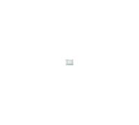 Vitre exterieure pour Four Indesit