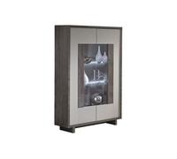 Vitrine 2 Portes Gris Acier Metallisé et Gris Mat avec Leds - AUXANE - ALTOBUY Gris G