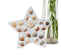 Vitrine À Coquillages - Vitrine Transparente Décorative pour Collection | Boîte pour Coquillages et Étoiles de Mer | Pour Petite Amie Femmes Filles Bagues Dent Requin Clous D'Oreille Salon Et Chambre