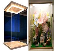 Vitrine Acrylique Diorama en Acrylique pour Organisation et Protection, Vitrine D'exposition Cristalline avec Éclairage, Coffret de Rangement pour Objets de Collection(L20xW20xH35cm/8x8x14)