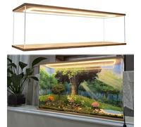 Vitrine Acrylique Longue Vitrine Miniature Éclairée en Acrylique, Vitrine Transparente Anti-poussière Modèles Réduits, Boîte Décoration de Comptoir avec Porte(20x20xH20cm/8x8x8in)