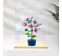 Vitrine acrylique pour le-go 10372 en forme de fleur d'hibiscus - Boîte anti-poussière avec cadre en alliage - Rangement en brique florale transparente - Cadeau botanique - 30 x 20 x 40 cm (A)