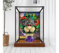 Vitrine acrylique pour Lego 72042 Prince Florian et château Cool modèle cool, boîte de présentation anti-poussière de 3 mm, vitrine compatible avec Lego 72042 (modèle non inclus) (cadre en alliage